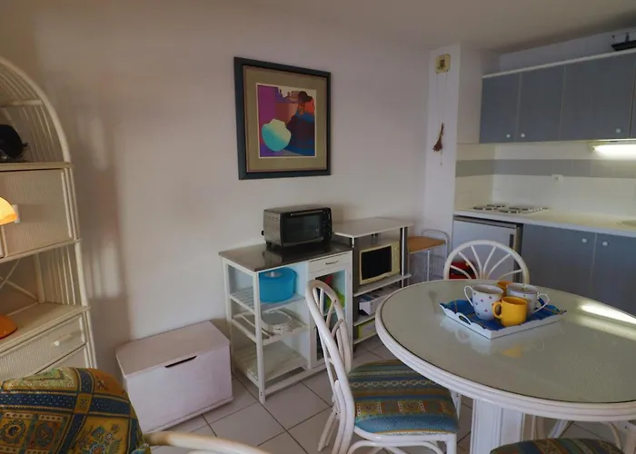 公寓 Appartement Climatise Avec Terrasse Et Acces Plage A Sete - Fr-1-472A-273