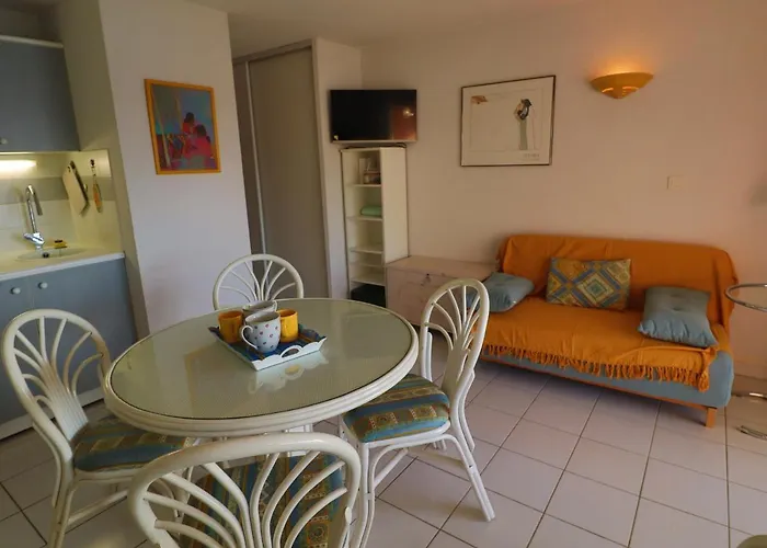 公寓 Appartement Climatise Avec Terrasse Et Acces Plage A Sete - Fr-1-472A-273